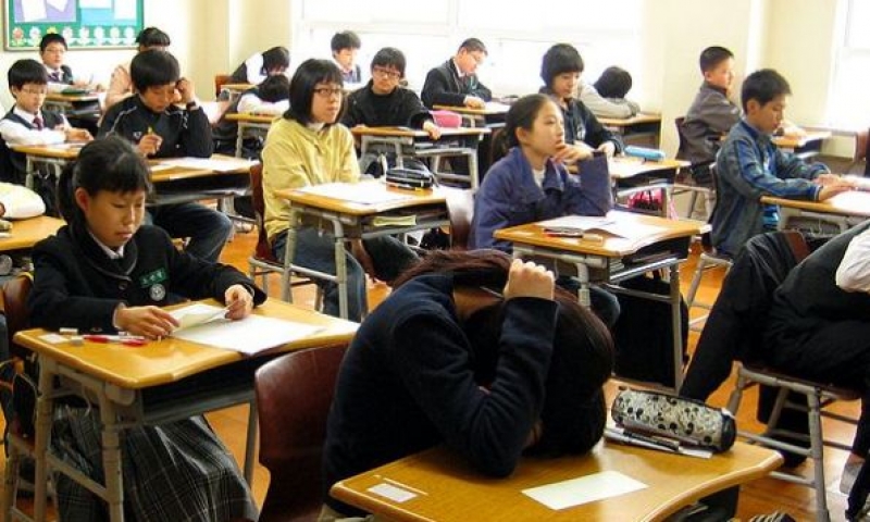 Chuyên gia giáo dục 17 năm kinh nghiệm chia sẻ: 3 cách giải quyết bạo lực học đường “chuẩn giáo khoa” – cha mẹ đọc NGAY để bảo vệ con đúng đắn- Ảnh 1. Chuyên gia giáo dục 17 năm kinh nghiệm chia sẻ: 3 cách giải quyết bạo lực học đường “chuẩn giáo khoa” – cha mẹ đọc NGAY để bảo vệ con đúng đắn- Ảnh 1.
