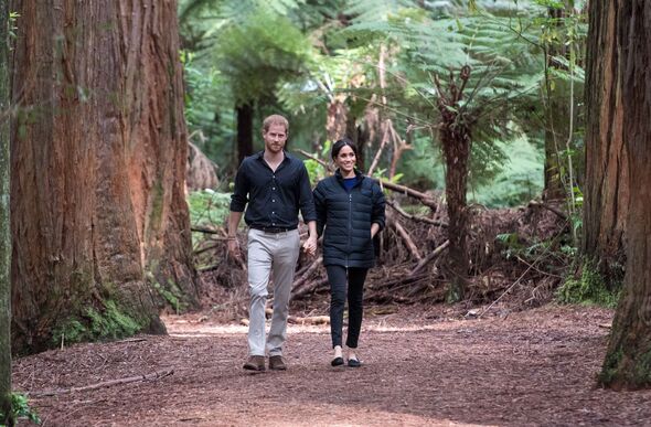 Tiết lộ gây sốc: Meghan Markle từng than phiền “không được trả tiền” khi làm nhiệm vụ hoàng gia- Ảnh 2. Tiết lộ gây sốc: Meghan Markle từng than phiền “không được trả tiền” khi làm nhiệm vụ hoàng gia- Ảnh 2.