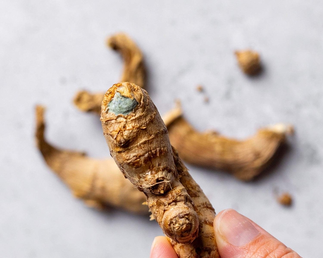 moldy-spot-on-ginger-root-17474040486822073973923-1747463431624-17474634317416554702.jpg