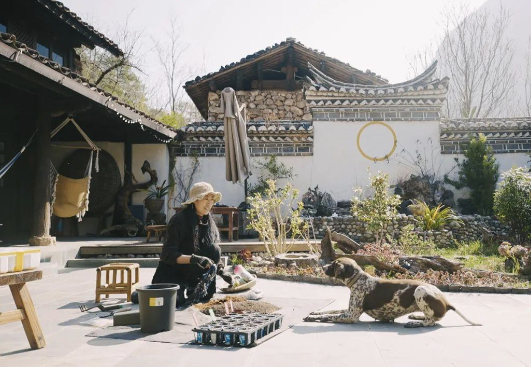 Cô gái 34 tuổi thuê 12.000m2 đất hoang để "sống chill", tự tay tạo nên "thiên đường" giữa thiên nhiên - Ảnh 3. Cô gái 34 tuổi thuê 12.000m2 đất hoang để "sống chill", tự tay tạo nên "thiên đường" giữa thiên nhiên - Ảnh 3.