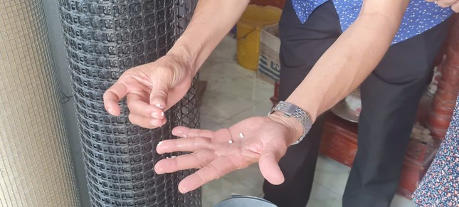 Phát hiện ‘gạo lạ’ ở Hậu Giang - Ảnh 1. Phát hiện ‘gạo lạ’ ở Hậu Giang - Ảnh 1.