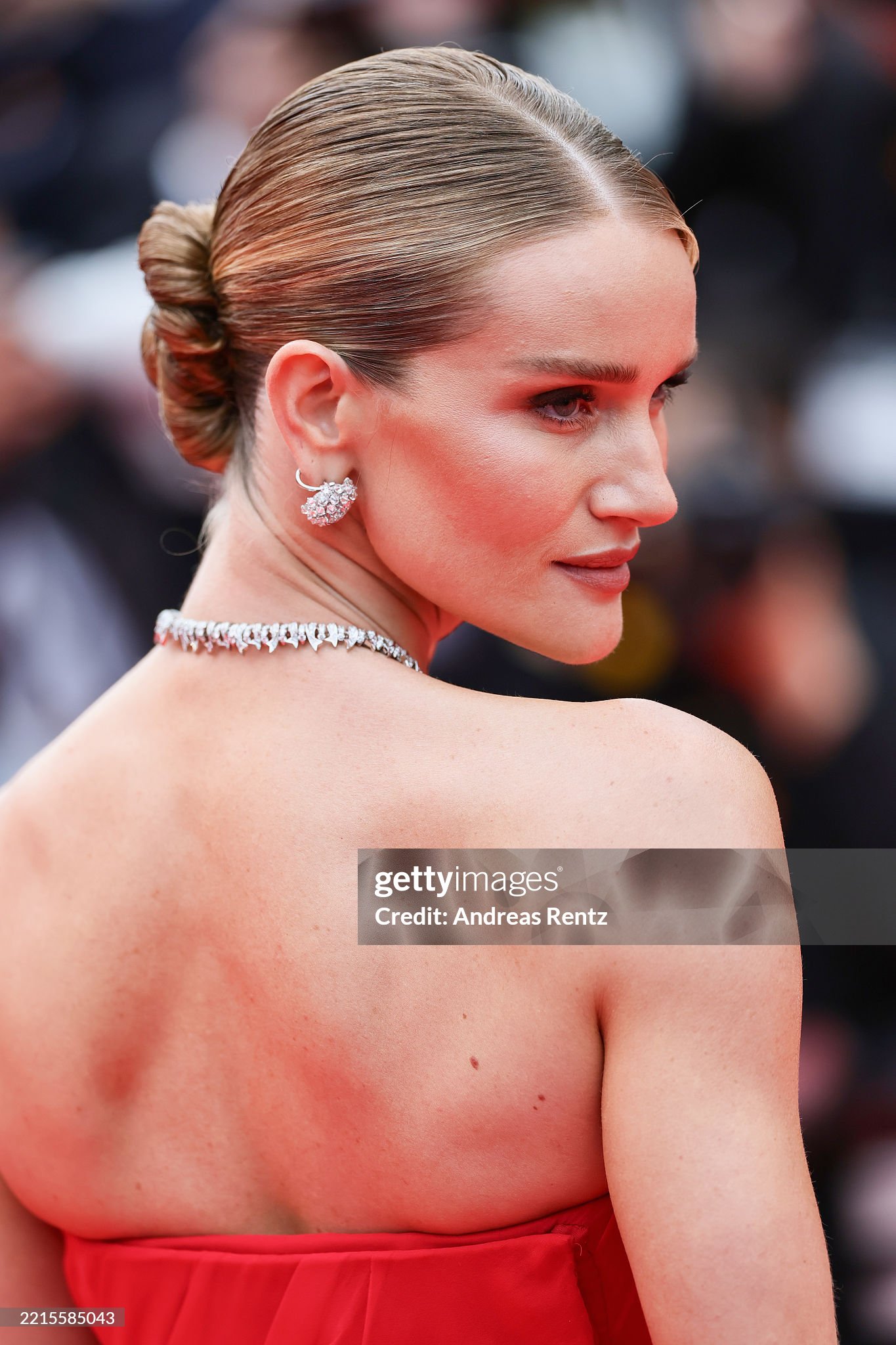 gettyimages-2215585043-2048x2048-1747532109426-174753210958467918003.jpg