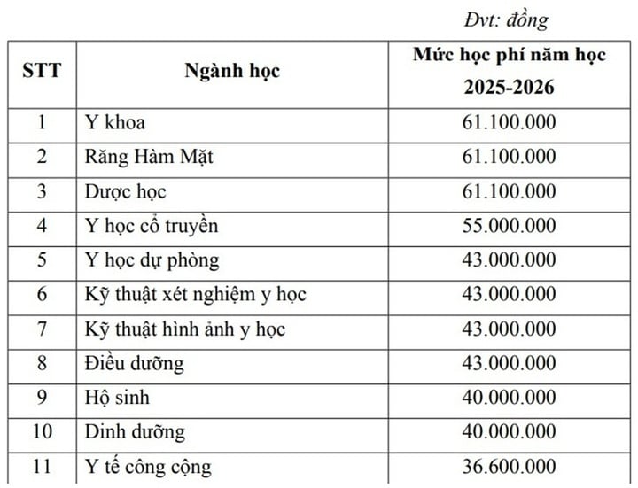 Học phí các trường Y Dược tăng cao trong năm 2025 - Ảnh 2. Học phí các trường Y Dược tăng cao trong năm 2025 - Ảnh 2.