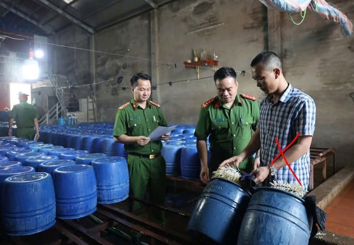 Khởi tố chủ cơ sở bán 60 tấn giá đỗ dùng chất kích thích tăng trưởng - Ảnh 1. Khởi tố chủ cơ sở bán 60 tấn giá đỗ dùng chất kích thích tăng trưởng - Ảnh 1.