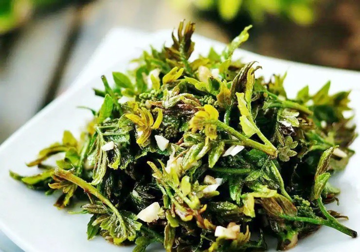 Cây xưa chỉ trồng lấy quả, nay ngắt lá đem bán cũng ra tiền - Ảnh 2. Cây xưa chỉ trồng lấy quả, nay ngắt lá đem bán cũng ra tiền - Ảnh 2.