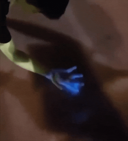 giphy1-174762838978072852685-1747635883243-17476358834113703913.gif
