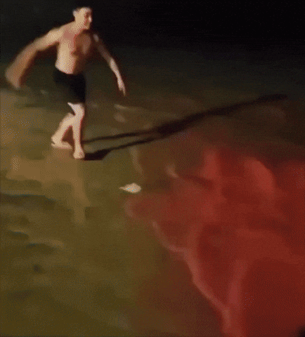 giphy1-174762849505773464988-1747635868503-17476358742431674995657.gif