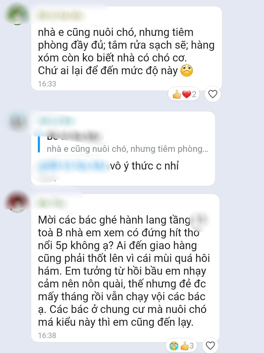 Chó phóng uế ra hành lang, 5 nhà nuôi nhưng không ai nhận: Yêu thú cưng xin đừng thiếu ý thức - Ảnh 3. Chó phóng uế ra hành lang, 5 nhà nuôi nhưng không ai nhận: Yêu thú cưng xin đừng thiếu ý thức - Ảnh 3.