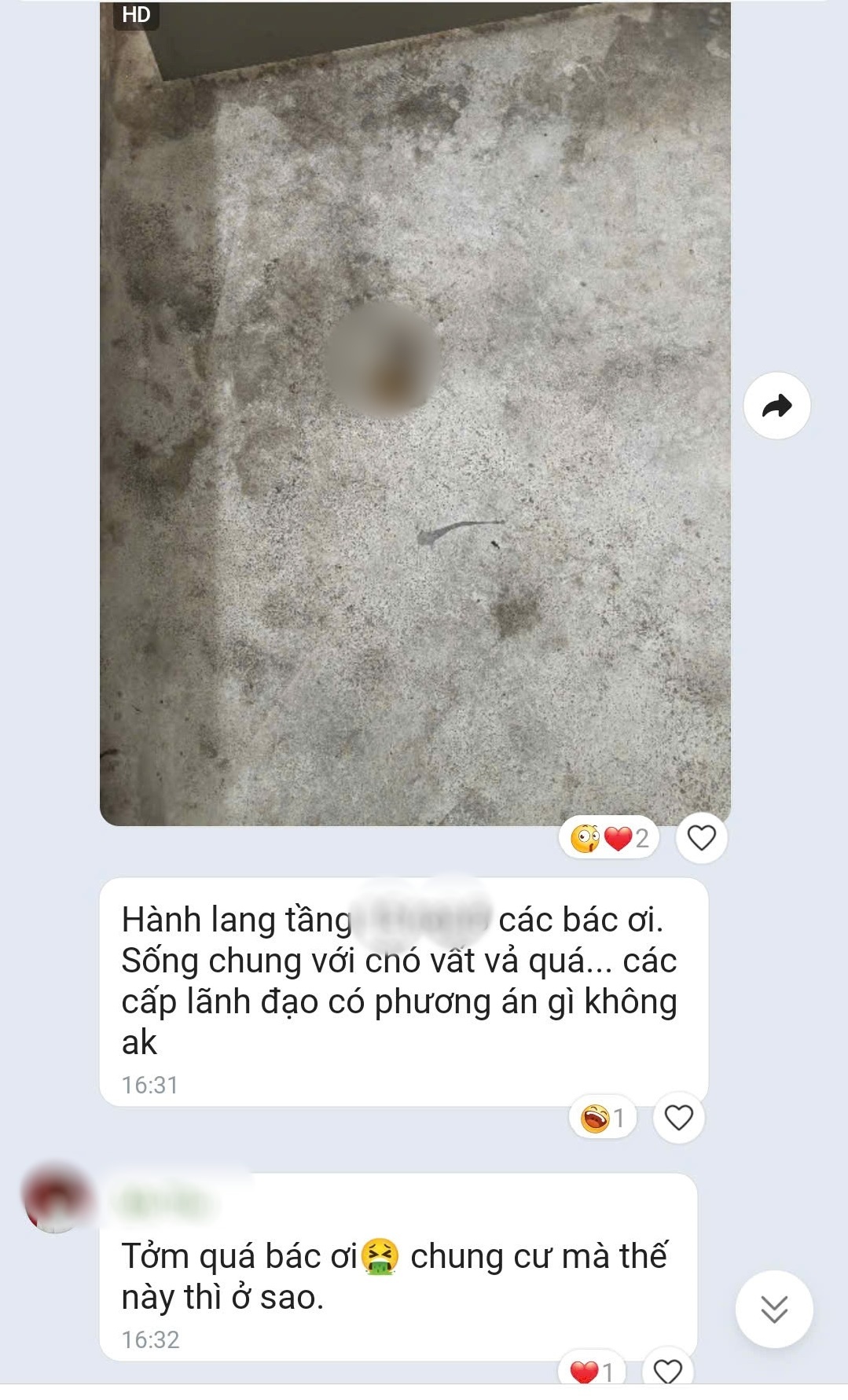 Chó phóng uế ra hành lang, 5 nhà nuôi nhưng không ai nhận: Yêu thú cưng xin đừng thiếu ý thức - Ảnh 2. Chó phóng uế ra hành lang, 5 nhà nuôi nhưng không ai nhận: Yêu thú cưng xin đừng thiếu ý thức - Ảnh 2.