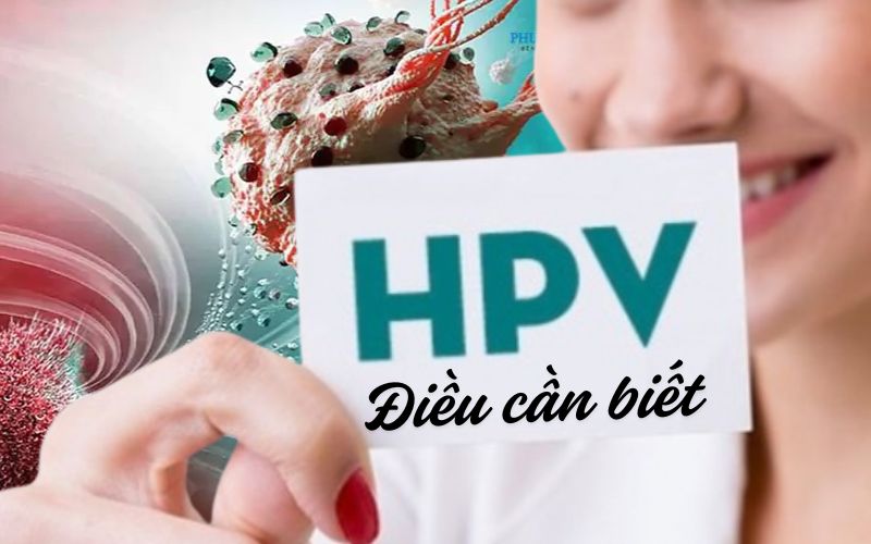 hpv-ava-1746170305967557679024.jpg