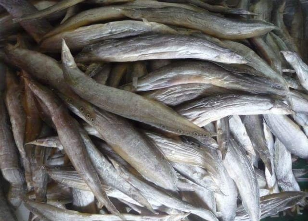 Việt Nam có 1 loại cá được ví như "nhân sâm dưới nước", giàu omega 3 và canxi, gặp ở chợ phải mua ngay - Ảnh 1. Việt Nam có 1 loại cá được ví như "nhân sâm dưới nước", giàu omega 3 và canxi, gặp ở chợ phải mua ngay - Ảnh 1.