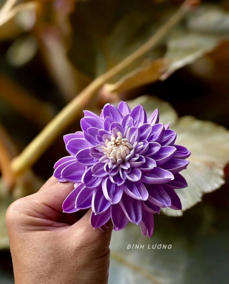 Chàng trai TP.HCM làm hoa bằng kem 'thật còn hơn cả hoa thật' - Ảnh 20. Chàng trai TP.HCM làm hoa bằng kem 'thật còn hơn cả hoa thật' - Ảnh 20.