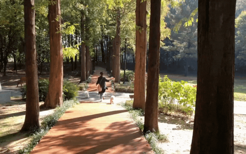 them-tieu-de-phu-2-17477399188492028310515.gif