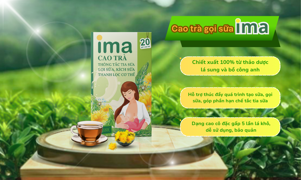 Tr&agrave; lợi sữa từ thảo dược: B&iacute; quyết gọi sữa hiệu quả cho mẹ sau sinh - Ảnh 2.