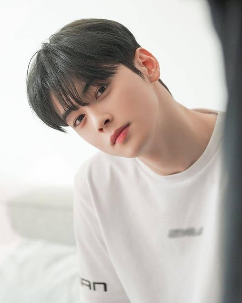 cha-eun-woo1-17477087782561777622938-1747795256663-1747795256802682790578.jpg