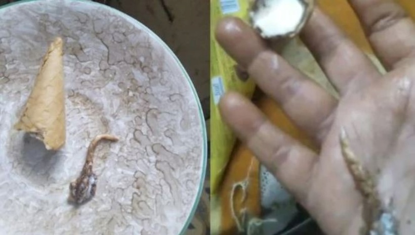 Đang ăn kem, người phụ nữ &quot;sởn gai ốc&quot; khi phát hiện thứ &quot;đáng sợ&quot; bên trong - Ảnh 1.
