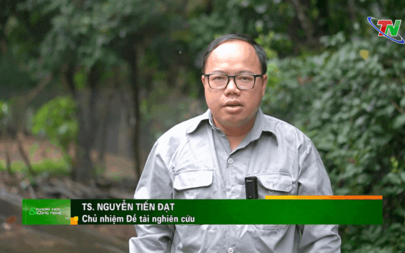 Nuôi lợn sạch bằng trà xanh, thịt ngon lành: Mô hình lạ mà độc đáo này đang gây sốt ở Việt Nam - Ảnh 3. Nuôi lợn sạch bằng trà xanh, thịt ngon lành: Mô hình lạ mà độc đáo này đang gây sốt ở Việt Nam - Ảnh 3.