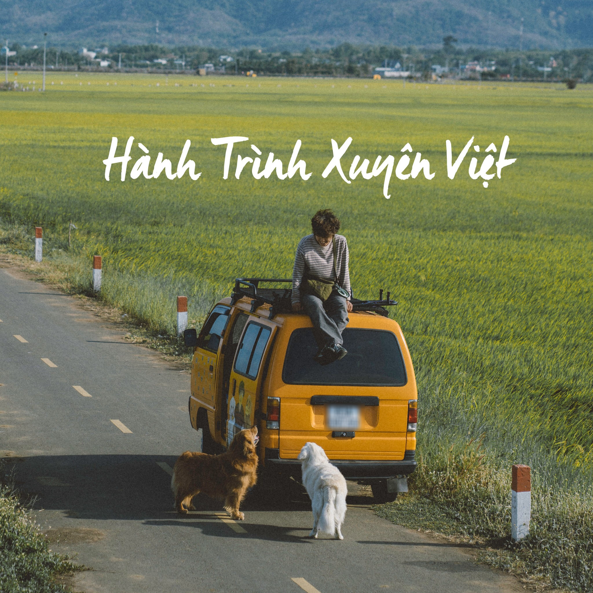 Chàng trai Đà Lạt đưa 2 chú chó nặng tới 30kg đi xuyên Việt, - Ảnh 2. Chàng trai Đà Lạt đưa 2 chú chó nặng tới 30kg đi xuyên Việt, - Ảnh 2.