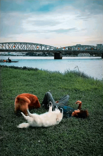 chrome-capture-2025-5-22-1-17478900739331358131134.gif
