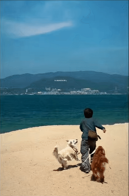 chrome-capture-2025-5-22-3-1747891304125769172464.gif