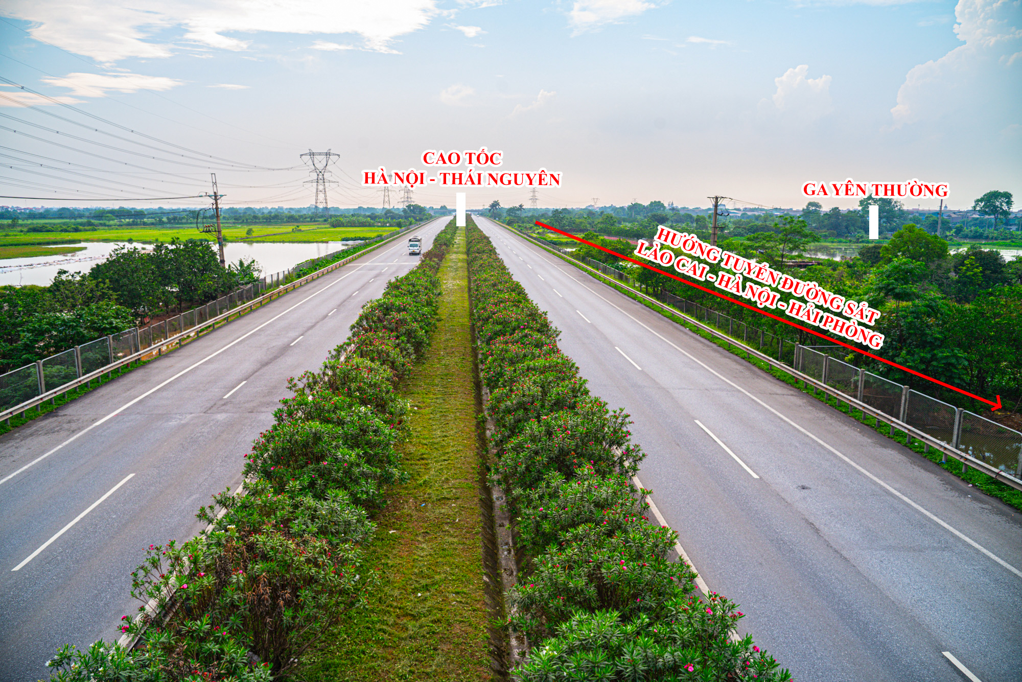 2a-ga-yen-thuong-1747818833348581001756-1747970980529-1747970980613549826146.jpg