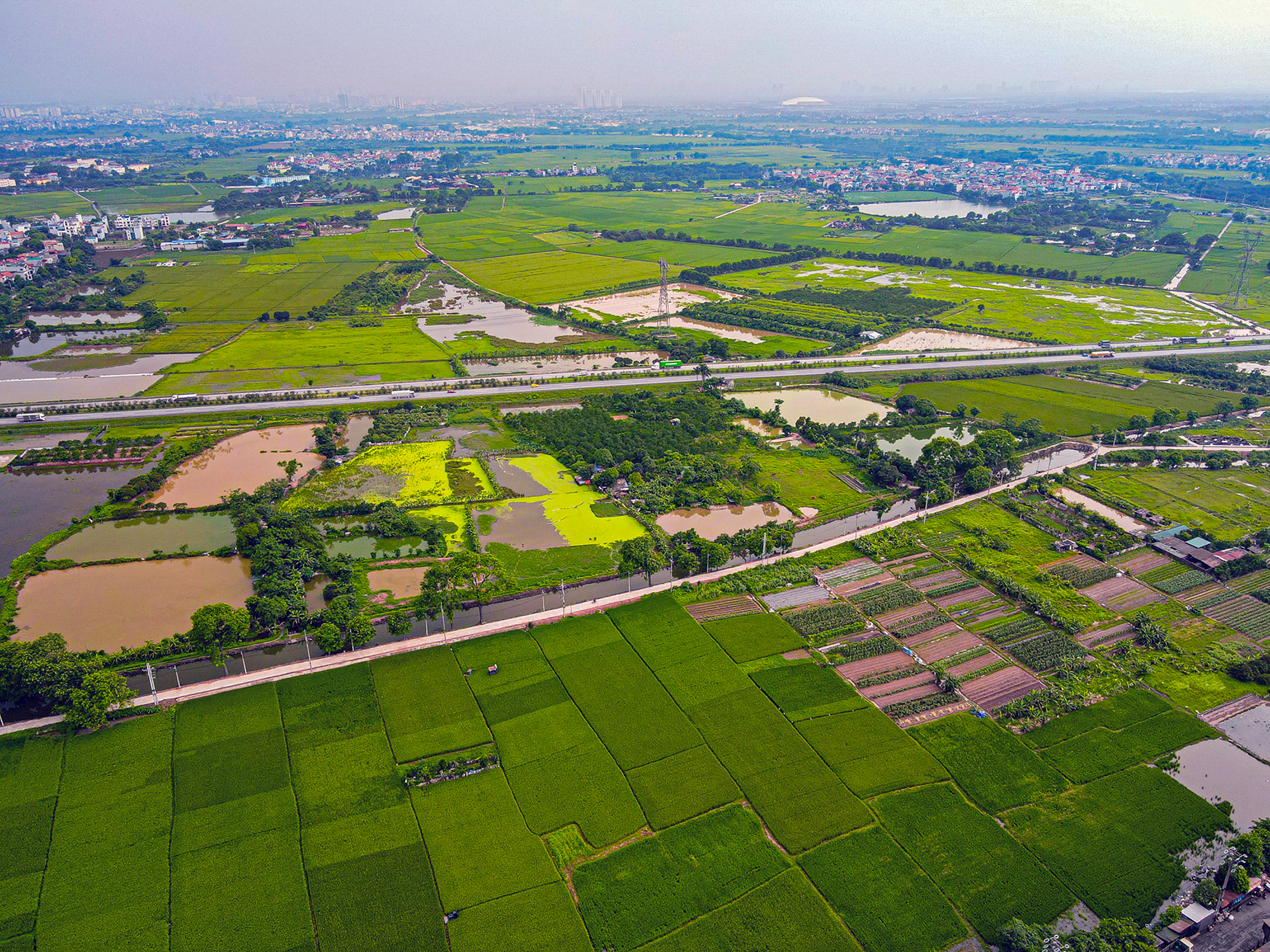 5-ga-yen-thuong-174781883340956294839-1747970983374-17479709884561447059052.jpg