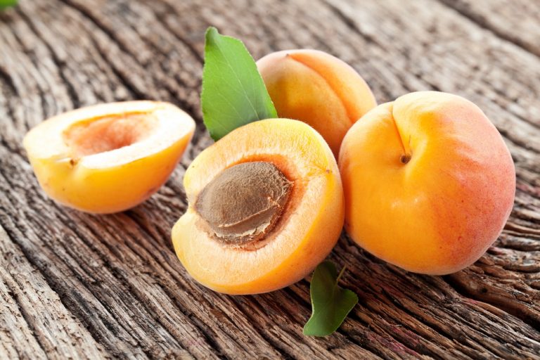 Loại quả "rẻ bèo" nhưng tốt ngang thuốc bổ thượng hạng: Có thể làm sạch phổi, thời điểm có Covid-19 càng nên ăn- Ảnh 1. Loại quả "rẻ bèo" nhưng tốt ngang thuốc bổ thượng hạng: Có thể làm sạch phổi, thời điểm có Covid-19 càng nên ăn- Ảnh 1.