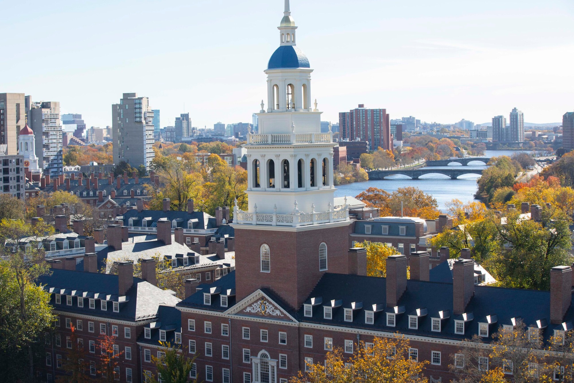 Chuyện gì đang xảy ra với Harvard? - Ảnh 1. Chuyện gì đang xảy ra với Harvard? - Ảnh 1.