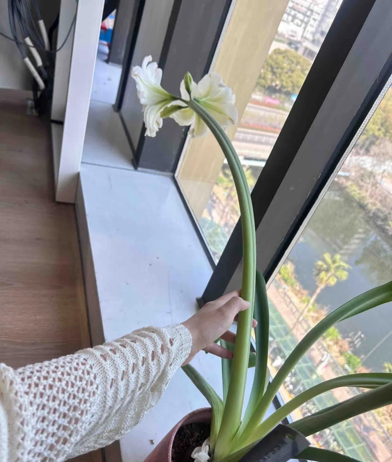 Bức ảnh đang viral chóng mặt khiến 1 triệu người thốt lên &quot;đủ wow rồi!&quot;- Ảnh 3.