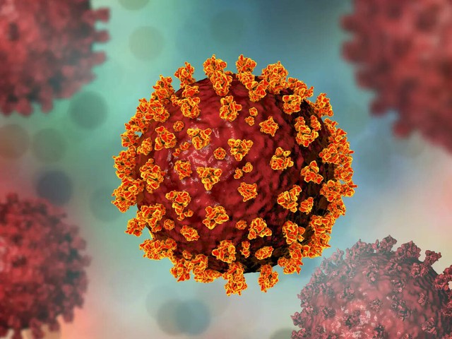 -8-1-detected-at-us-airports-amid-rise-in-cases-check-for-symptoms-and-preventive-measures-1748143824491-17481438257831209700796-1748159112484-17481591126661766236857.jpg