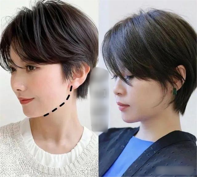 Tuổi trung niên: Tuổi trung niên: