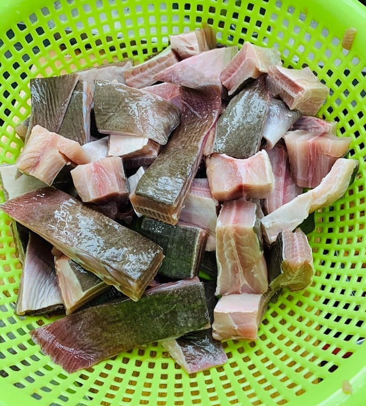Loài cá không xương trông Loài cá không xương trông