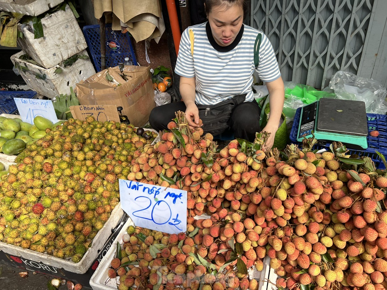 Vải thiều vào vụ, giá rẻ bất ngờ - Ảnh 1. Vải thiều vào vụ, giá rẻ bất ngờ - Ảnh 1.