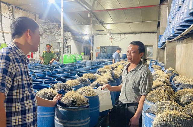 Lưu Văn Vẽ cấu kết với Tạ Văn Hải đưa 348 tấn giá đỗ độc hại ra thị trường: Chất cấm nào được sử dụng? - Ảnh 1. Lưu Văn Vẽ cấu kết với Tạ Văn Hải đưa 348 tấn giá đỗ độc hại ra thị trường: Chất cấm nào được sử dụng? - Ảnh 1.