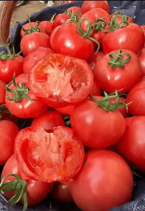 Dạo 1 vòng chợ, người tinh ranh nhìn là biết ngay 5 loại rau củ này "ngâm tẩm đẫm hóa chất", nhất là cái số 4- Ảnh 1. Dạo 1 vòng chợ, người tinh ranh nhìn là biết ngay 5 loại rau củ này "ngâm tẩm đẫm hóa chất", nhất là cái số 4- Ảnh 1.