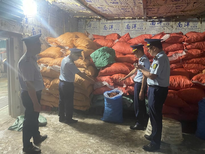 Phát hiện gần 8 tấn chân gà 'bẩn' đang chờ tiêu thụ tại Quảng Ninh - Ảnh 1. Phát hiện gần 8 tấn chân gà 'bẩn' đang chờ tiêu thụ tại Quảng Ninh - Ảnh 1.