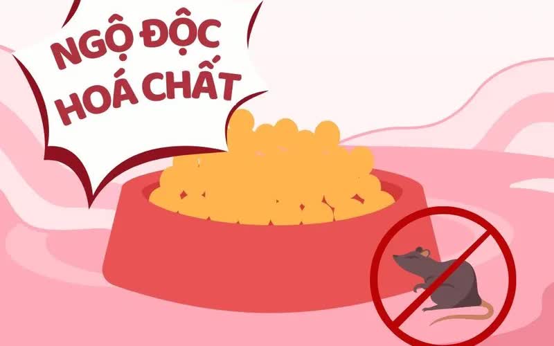 ngo-doc-hoa-chat-72701914090739548501172-79226138931498438526299-1748312517713-17483125179781787346871.jpg