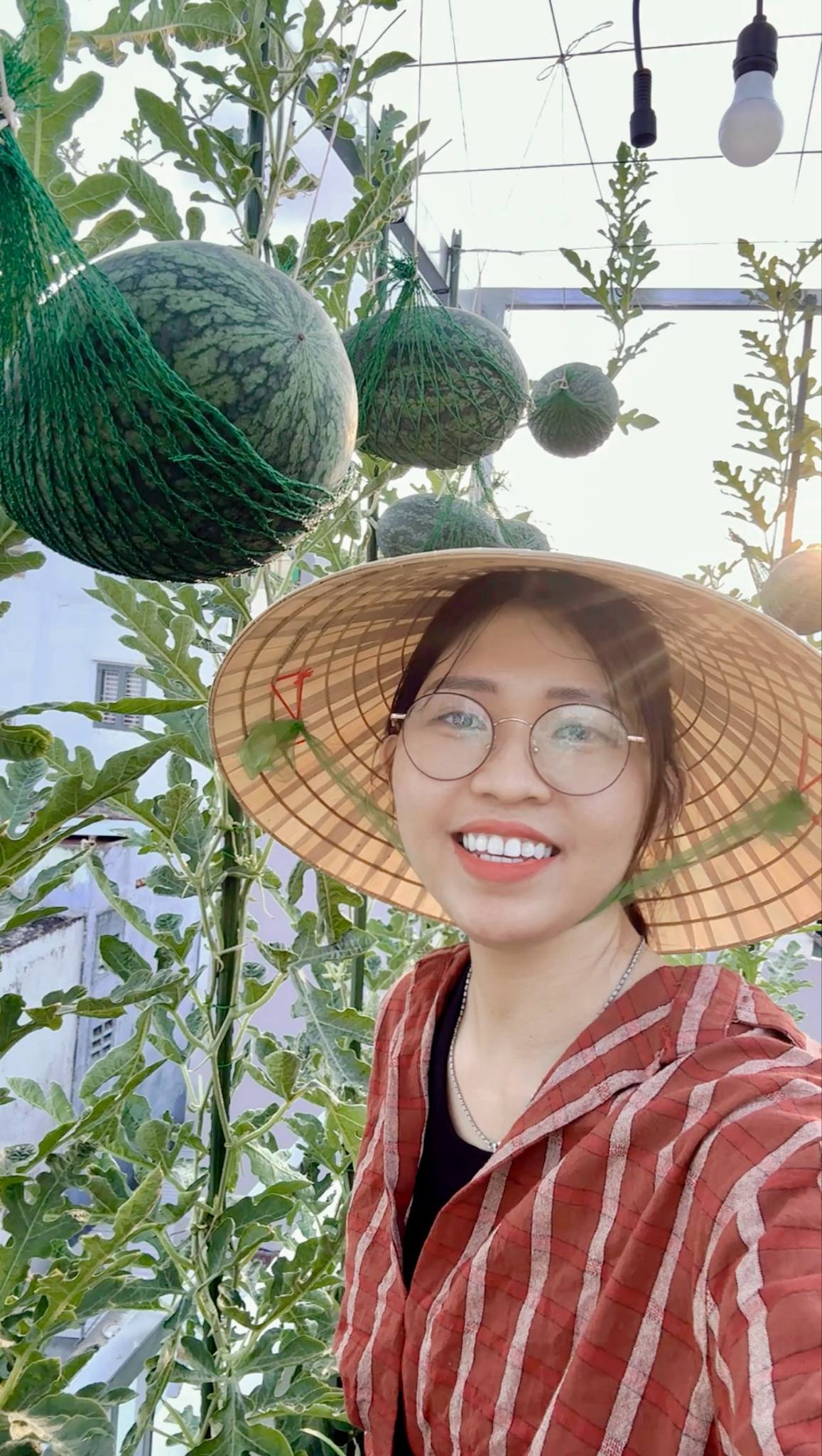 Từ tay mơ đến bà chủ vườn chỉ sau 2 tháng: Mẹ trẻ bật mí 4 kinh nghiệm trồng rau sân thượng trĩu quả khiến ai cũng bất ngờ vì “quá dễ” - Ảnh 10.
