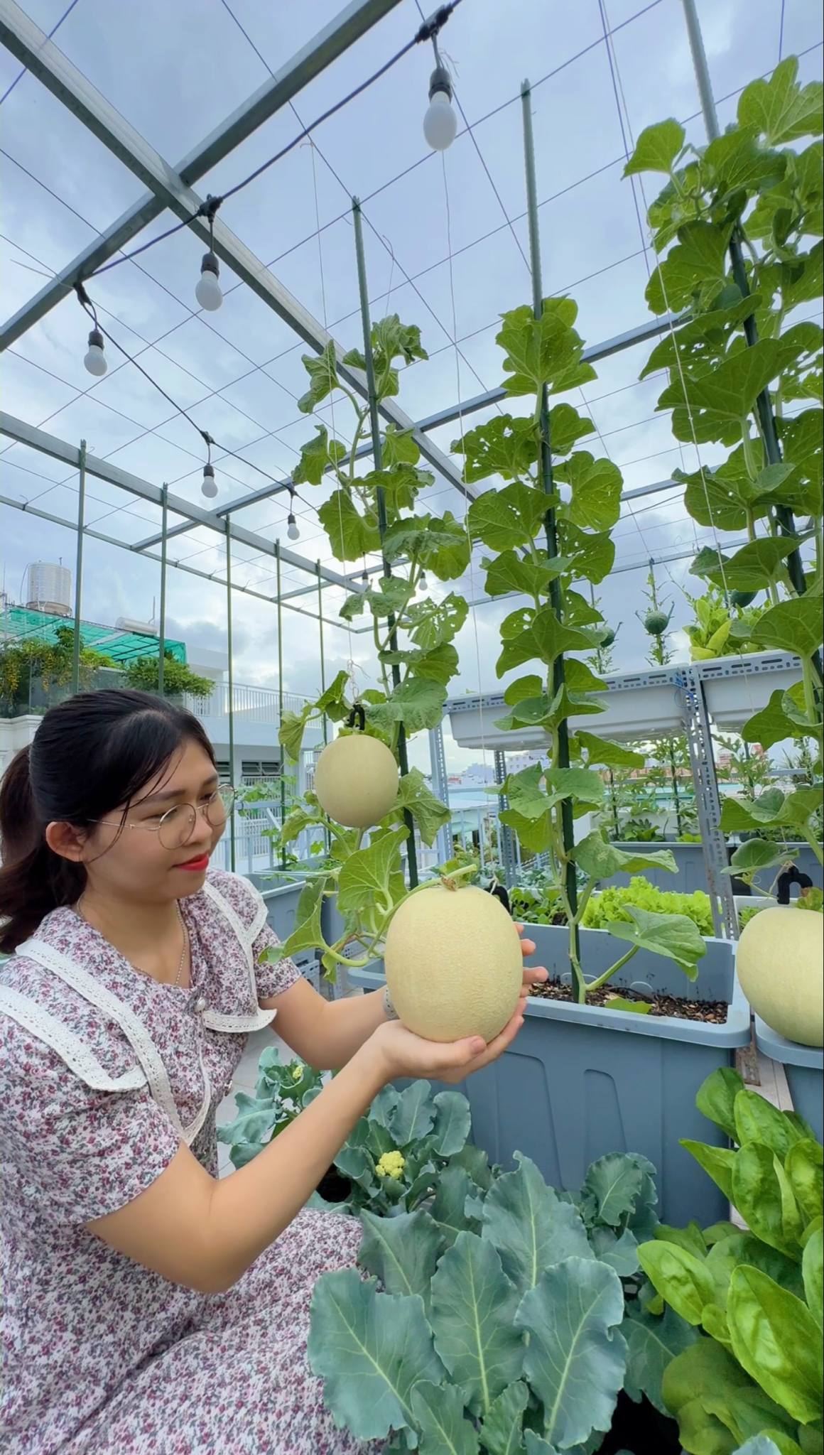 Từ tay mơ đến bà chủ vườn chỉ sau 2 tháng: Mẹ trẻ bật mí 4 kinh nghiệm trồng rau sân thượng trĩu quả khiến ai cũng bất ngờ vì “quá dễ” - Ảnh 9.