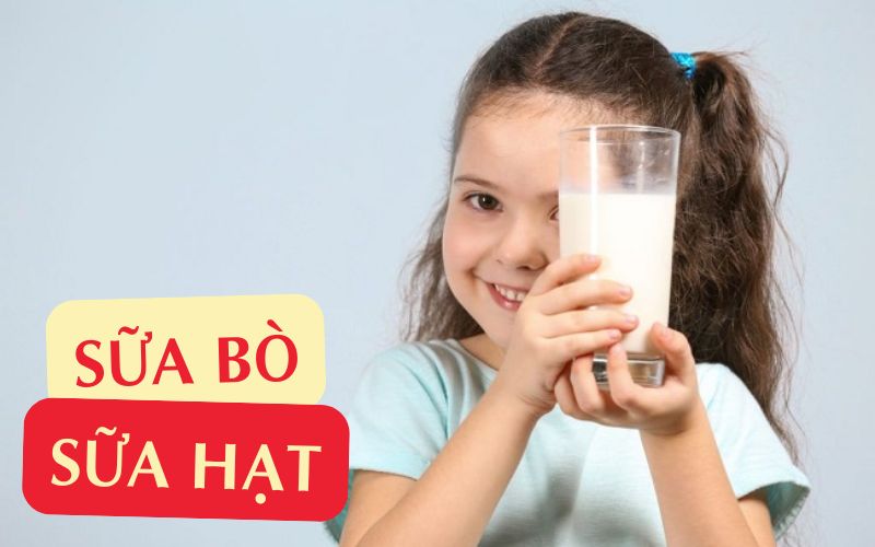 ava-78-1748489484177285317477.jpg