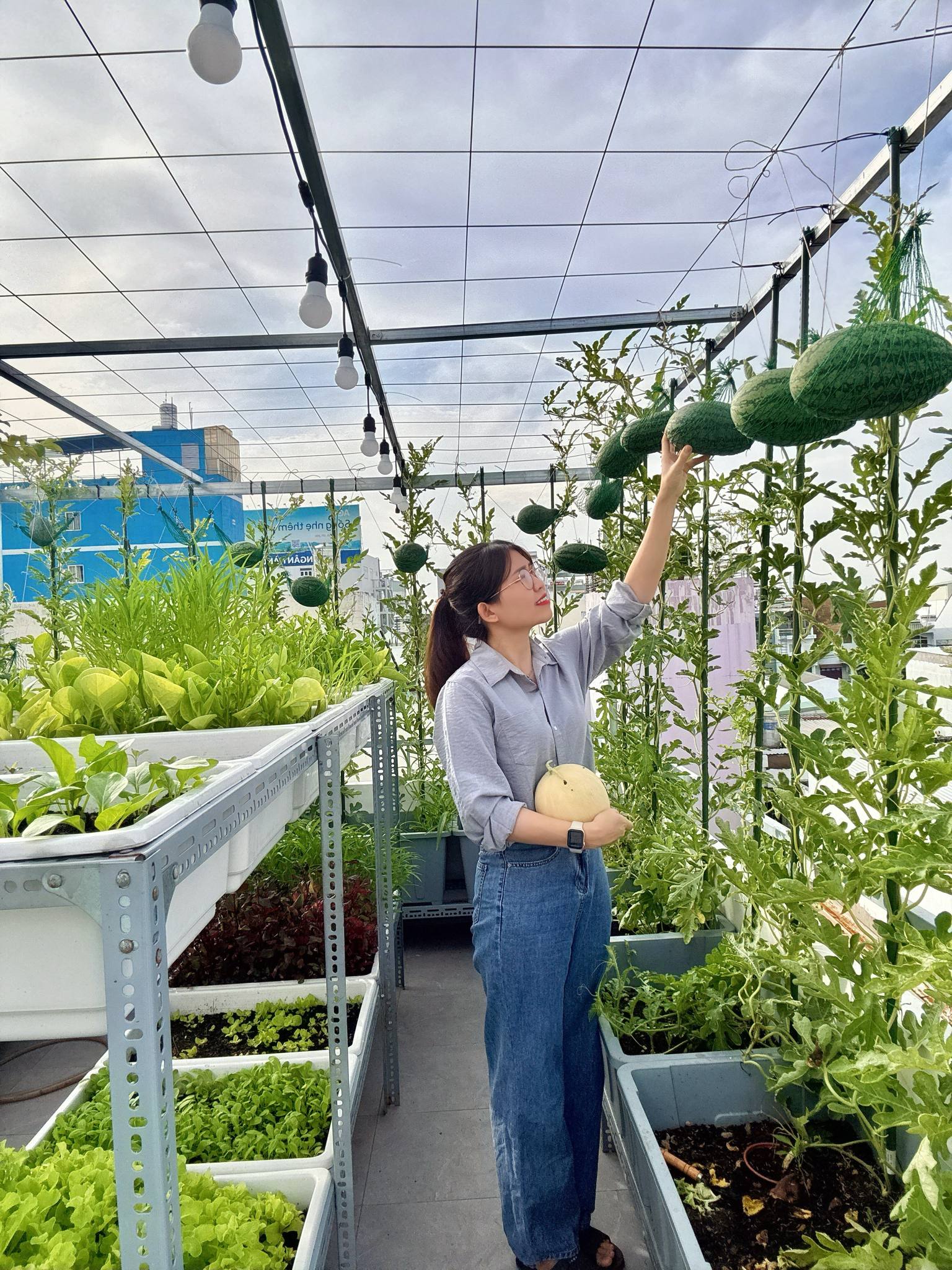 Từ tay mơ đến bà chủ vườn chỉ sau 2 tháng: Mẹ trẻ bật mí 4 kinh nghiệm trồng rau sân thượng trĩu quả khiến ai cũng bất ngờ vì “quá dễ” - Ảnh 2.