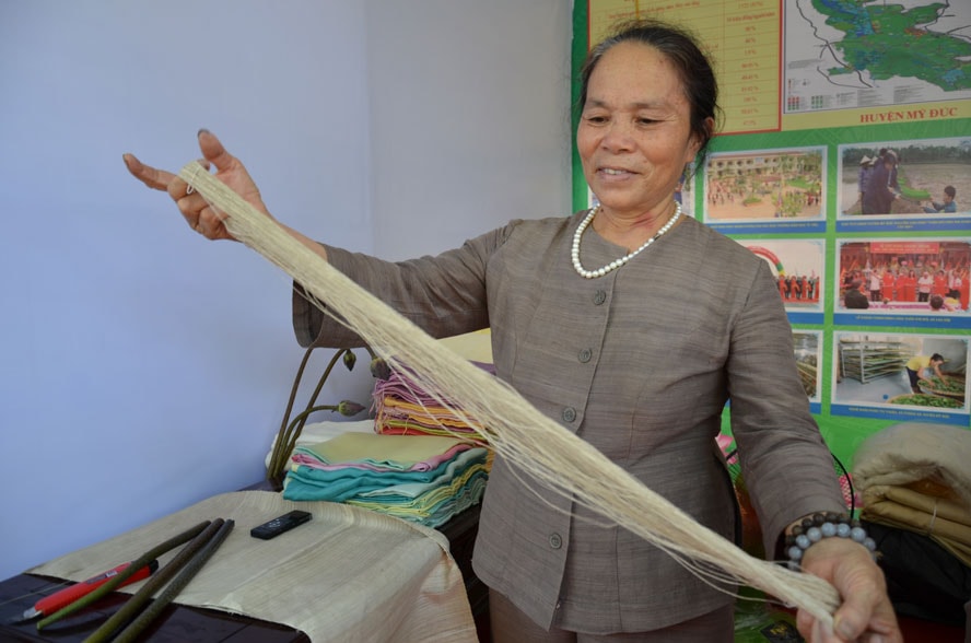 nhipsonghanoihanoimoicomvn-uploads-images-tuandiep-2019-07-10-to-sen-17484964628111979409917-1748508029295-17485080293981865323719.jpg