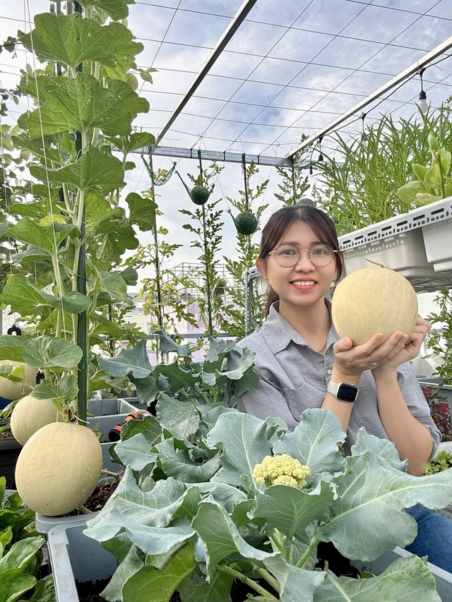Từ tay mơ đến bà chủ vườn chỉ sau 2 tháng: Mẹ trẻ bật mí 4 kinh nghiệm trồng rau sân thượng trĩu quả khiến ai cũng bất ngờ vì “quá dễ” - Ảnh 7.