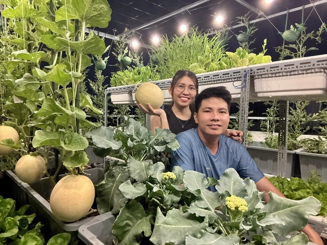 Từ tay mơ đến bà chủ vườn chỉ sau 2 tháng: Mẹ trẻ bật mí 4 kinh nghiệm trồng rau sân thượng trĩu quả khiến ai cũng bất ngờ vì “quá dễ” - Ảnh 1.