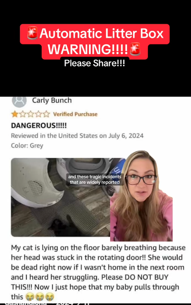 screenshot-4202-1748432852382416413723-1748479334809-1748479334884847392996.png