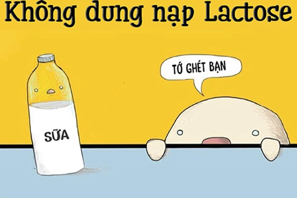 Sữa hạt có thực sự tốt hơn sữa bò, và có nên thay thế hoàn toàn sữa bò bằng sữa hạt? - Ảnh 3. Sữa hạt có thực sự tốt hơn sữa bò, và có nên thay thế hoàn toàn sữa bò bằng sữa hạt? - Ảnh 3.