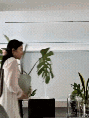 thiet-ke-chua-co-ten-5-1746241713002-1746241713631167167393.gif