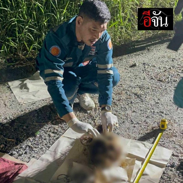 Rúng động Thái Lan: Phát hiện hộp sọ phụ nữ với tóc đỏ trong túi nilon và manh mối dẫn đến vụ mất tích bí ẩn ở Pattaya - Ảnh 1. Rúng động Thái Lan: Phát hiện hộp sọ phụ nữ với tóc đỏ trong túi nilon và manh mối dẫn đến vụ mất tích bí ẩn ở Pattaya - Ảnh 1.