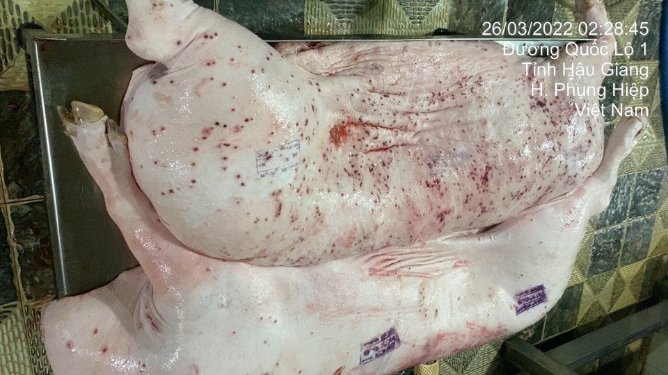 Công ty C.P. Việt Nam chính thức thông báo - Ảnh 1. Công ty C.P. Việt Nam chính thức thông báo - Ảnh 1.