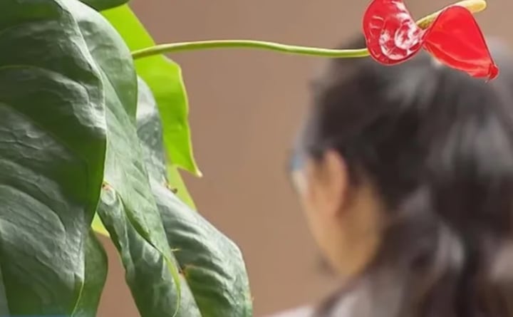 Bỏ tiền tỷ vào app tài chính lừa đảo, nhà đầu tư cay đắng được trả bằng thịt bò - Ảnh 2. Bỏ tiền tỷ vào app tài chính lừa đảo, nhà đầu tư cay đắng được trả bằng thịt bò - Ảnh 2.